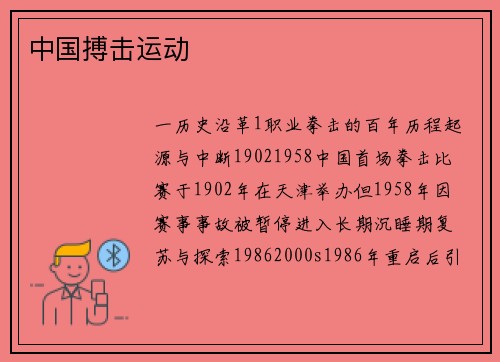 中国搏击运动